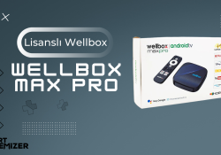 Lisanslı Wellbox Max Pro İncelemesi